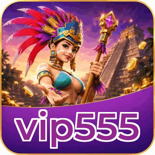 vip555 Installation