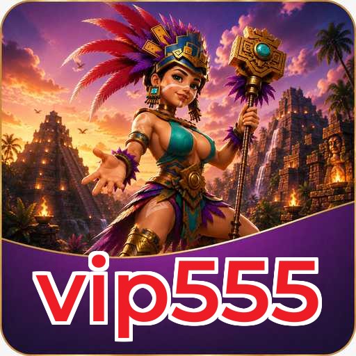 vip555 Technical Info